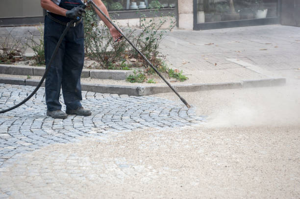 Best Winterizing Services  in Southwest Ranches, FL